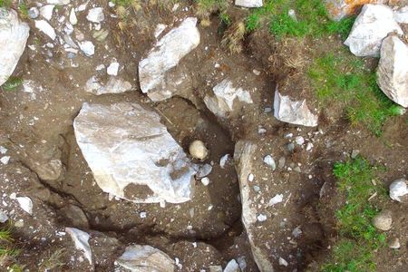 While looters discard bones, they are invaluable to archaeologists’ research.