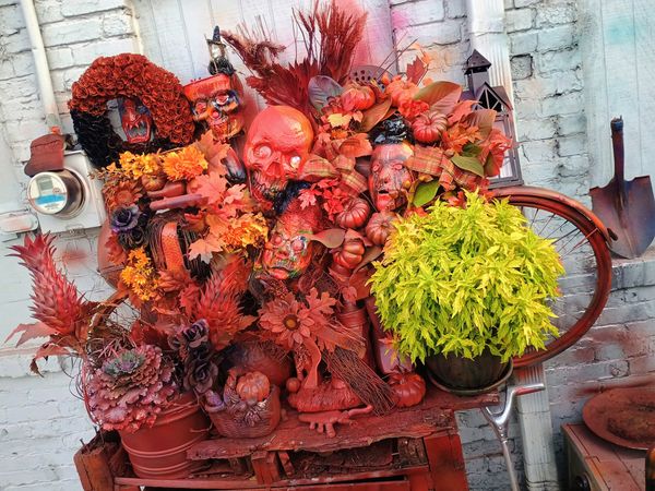 Halloweened thumbnail