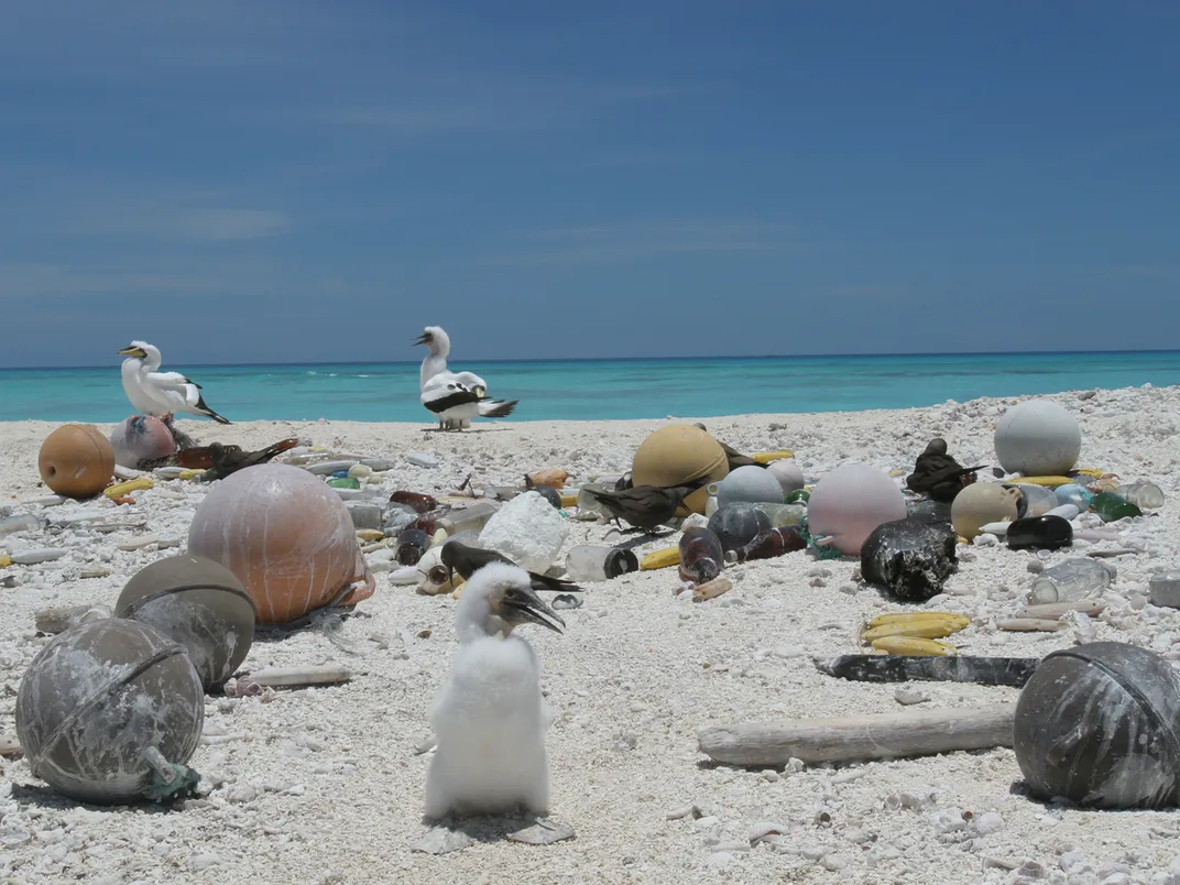 Marine Debris at Lalo