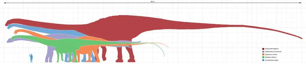 20110520083224sauropod-dinosaurs-size-1023x216.jpg