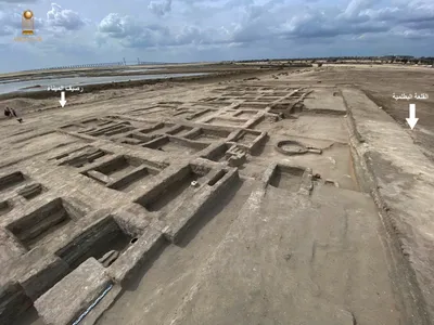 Archaeologists Uncover Evidence of Ancient Tree-Lined Road in Egyptian Military Fortress image
