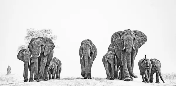 Rhythm of the Wind thumbnail