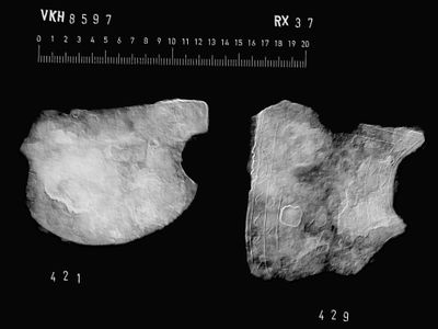 X-ray images of the neck and cheek guards from a Roman helmet discovered at L&oslash;sning S&oslash;ndermark