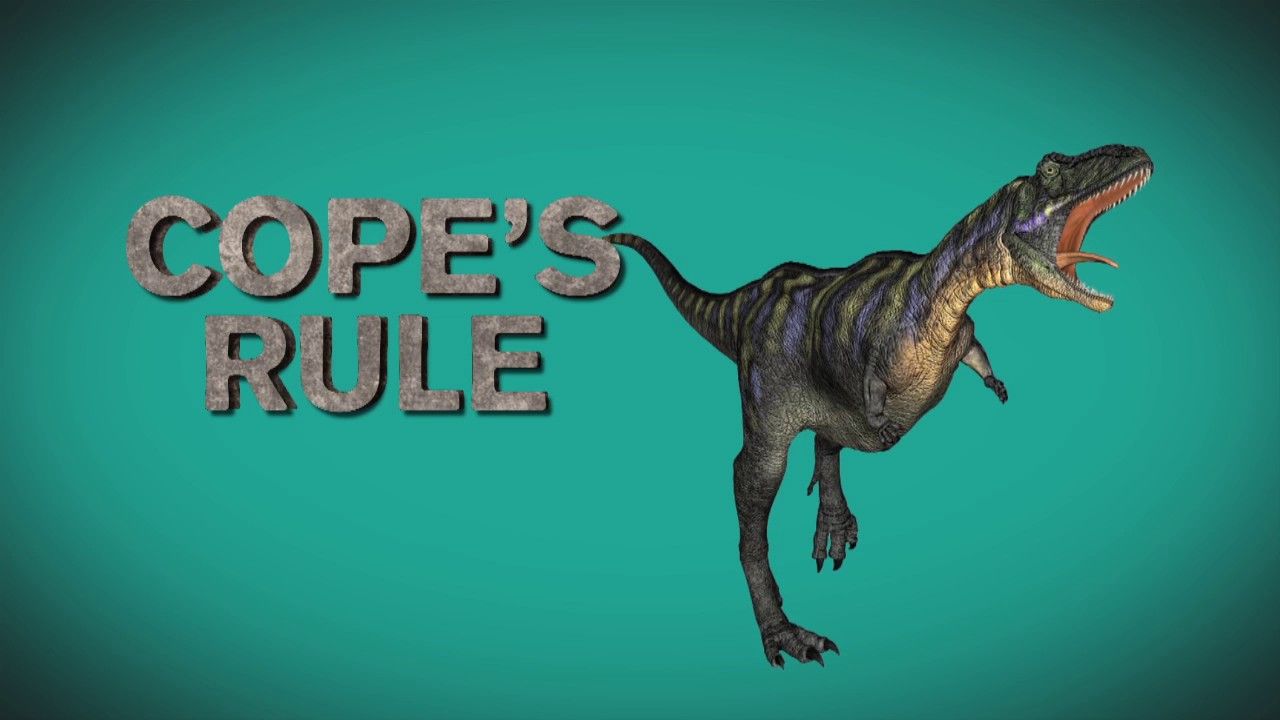 Preview thumbnail for Ask Smithsonian: Why Were Prehistoric Animals So Big?