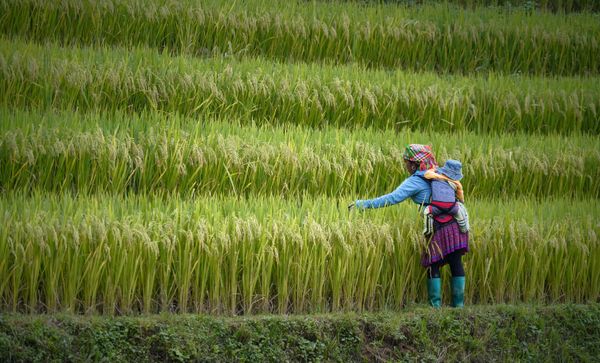 Mother at work thumbnail