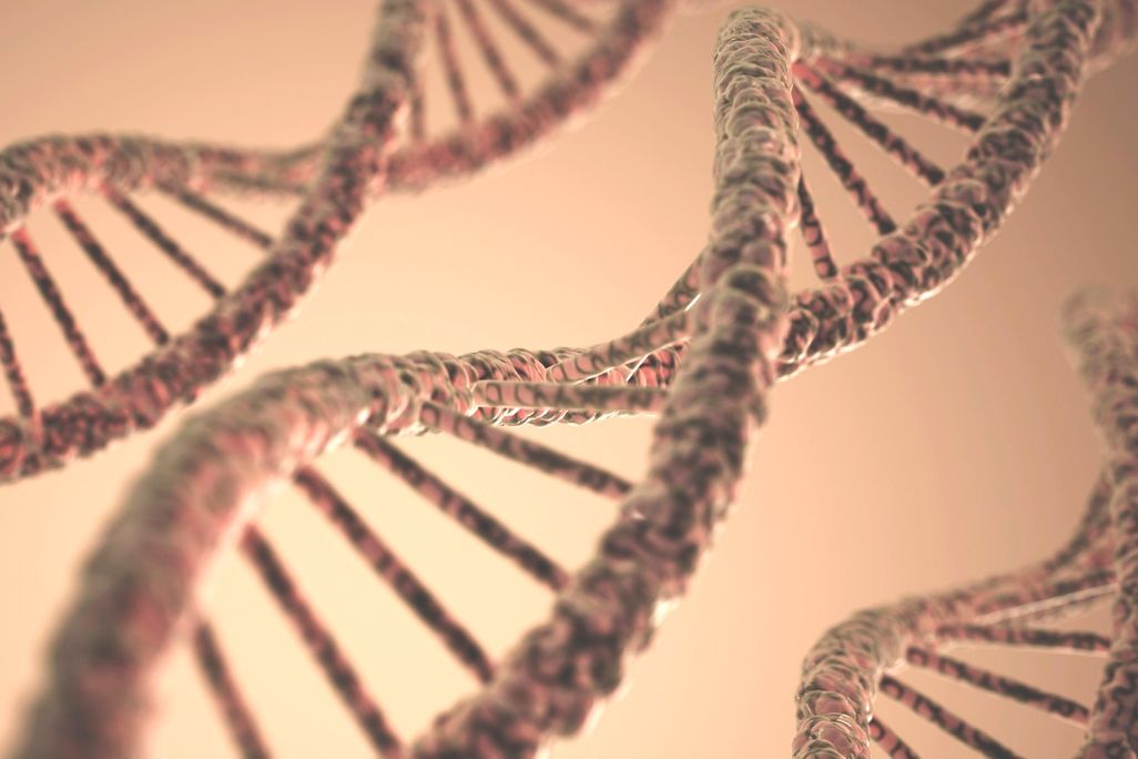 DNA Artwork