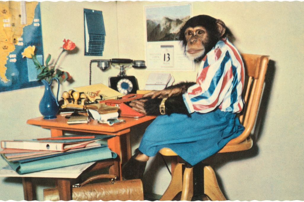 Chimpanzee wearing clothing sitting at a desk with books and a typewriter