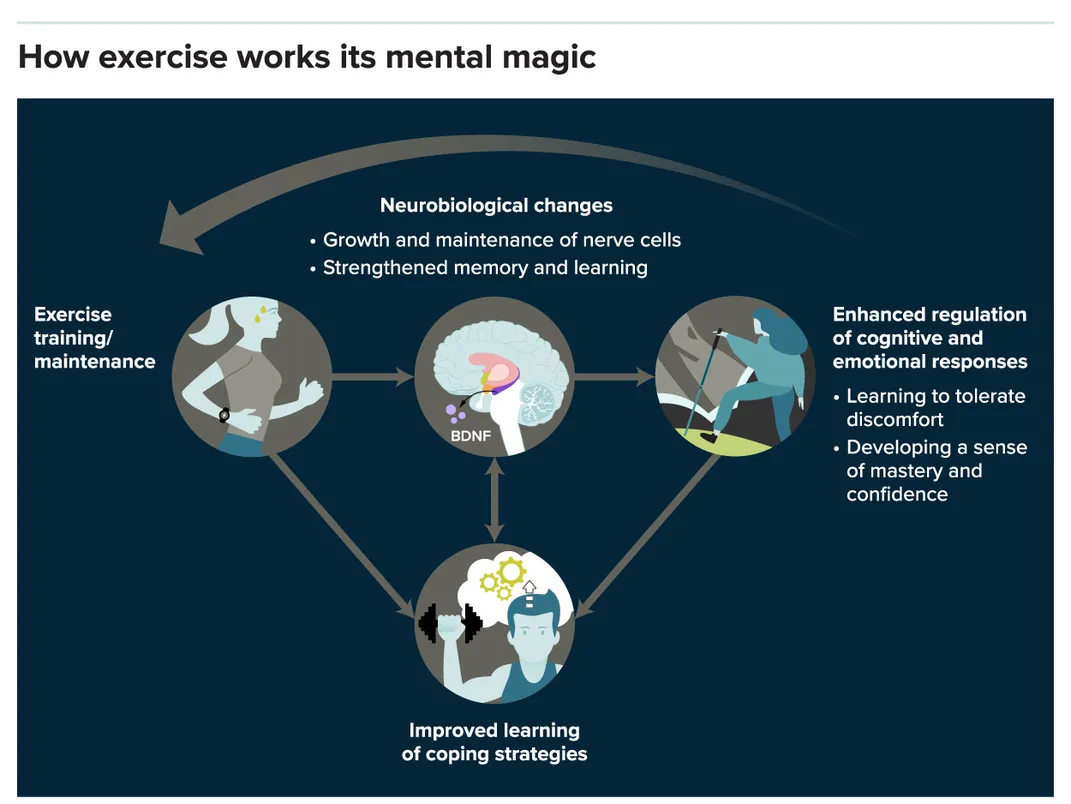 Exercise and Mental Health Graphic