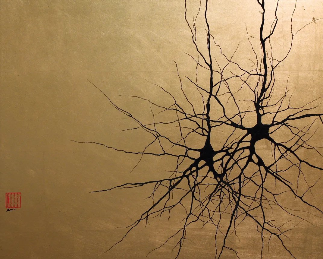 Two Pyramidal Cells against Gold Background