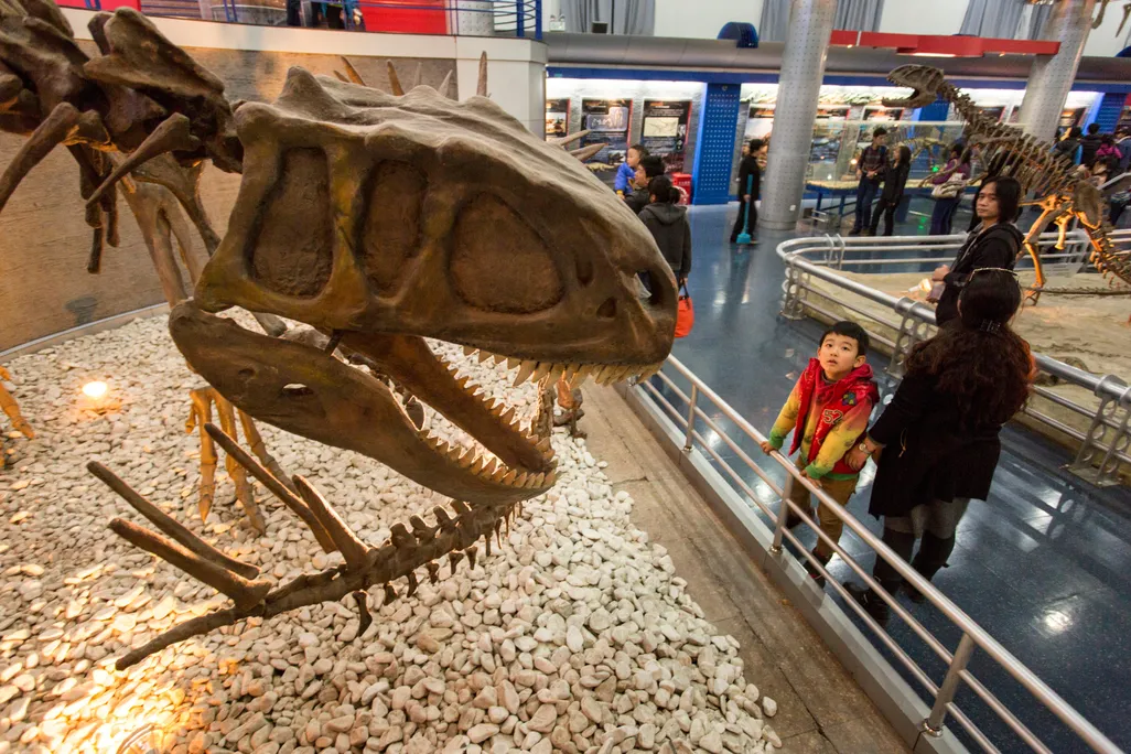 Kid and dinosaur