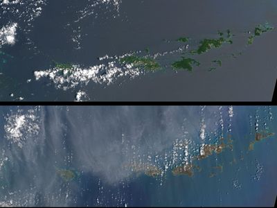 The destruction left in Irma's wake is so widespread it can even be seen from space. These satellite images show Irma's effects on the British and U.S. Virgin Islands before (top) and after (bottom) the storm.