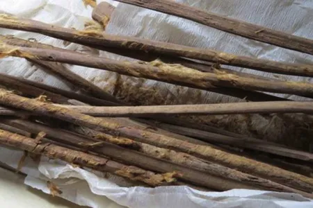 Hygiene sticks excavated at Xuanquanzhi station along the Silk Road