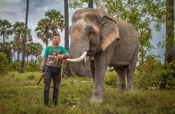 The elephant and his mahout thumbnail