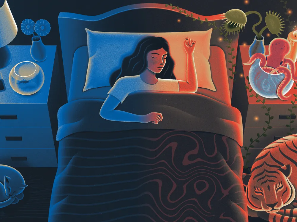 illustration of a person sleeping with a normal bedside table and cat on one side and a fantastical dream images, like a tiger and octopus, on the other side