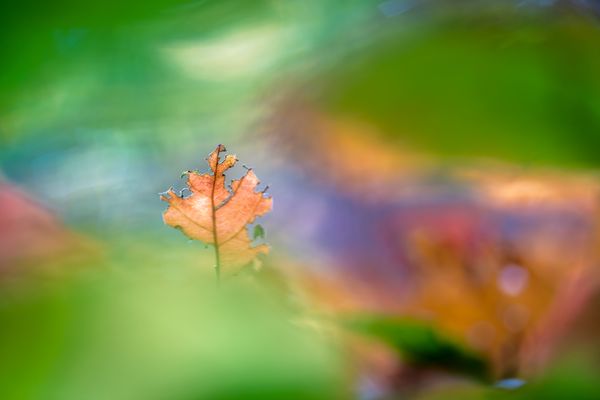 Mette Klint Artistic 3-2 thumbnail