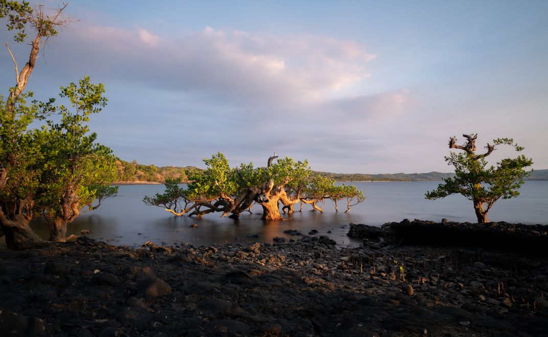 Mangroves in the islands of the Mozambique Channel, Madagascar