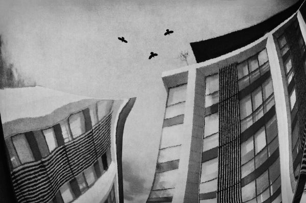 free in the city thumbnail