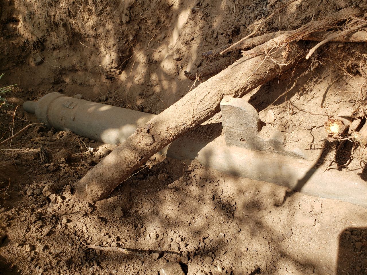 Oldest Firearm in the US, A 500-Year-Old Cannon Unearthed in