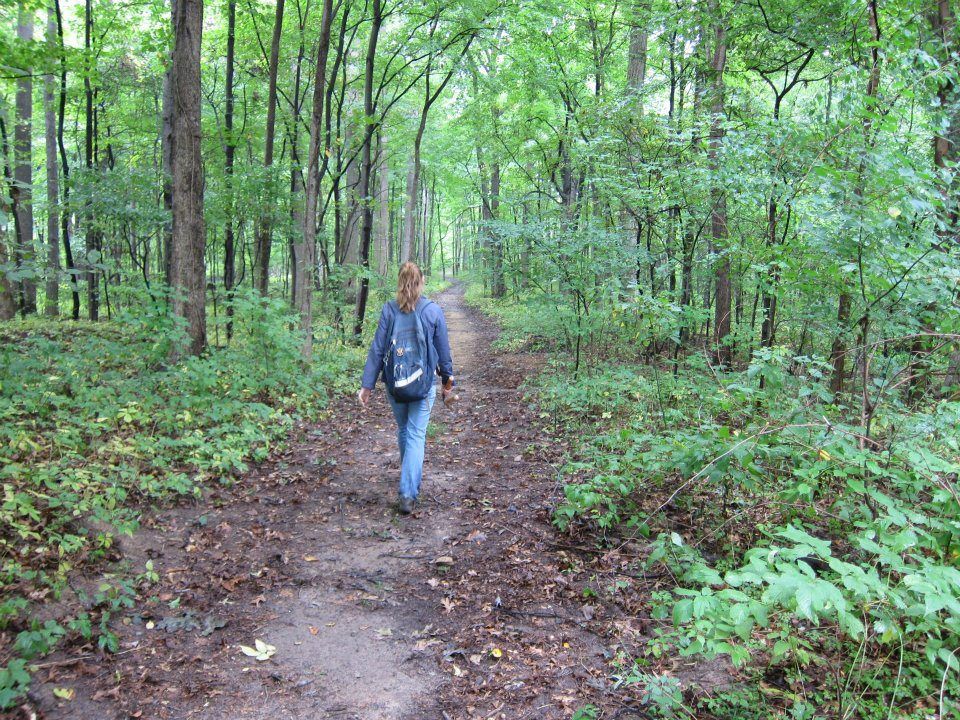 Botanist Walking Through a Forest