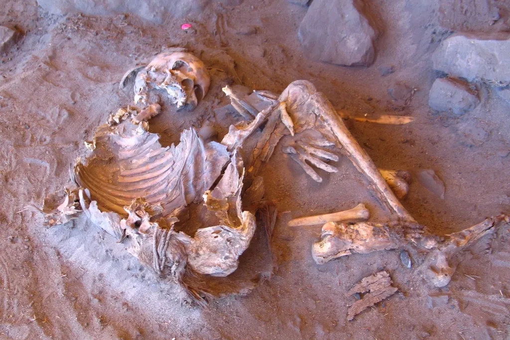 Skeleton in dirt