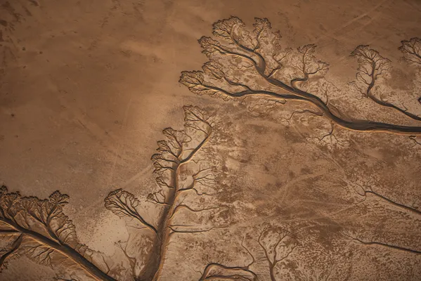 Chronicles of the Fallen Delta thumbnail