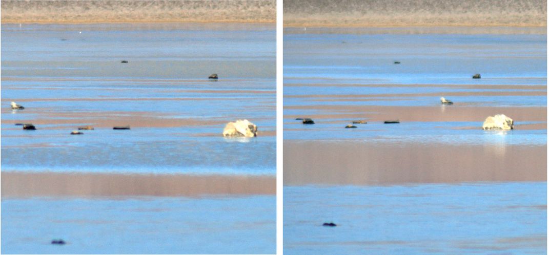 One rock's movement is apparent in this photo pair from Dec. 21, 2013 (Credit: Jim Norris)