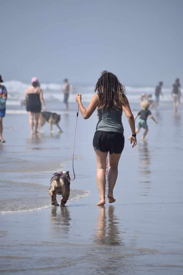 California Dog Beach Walk thumbnail