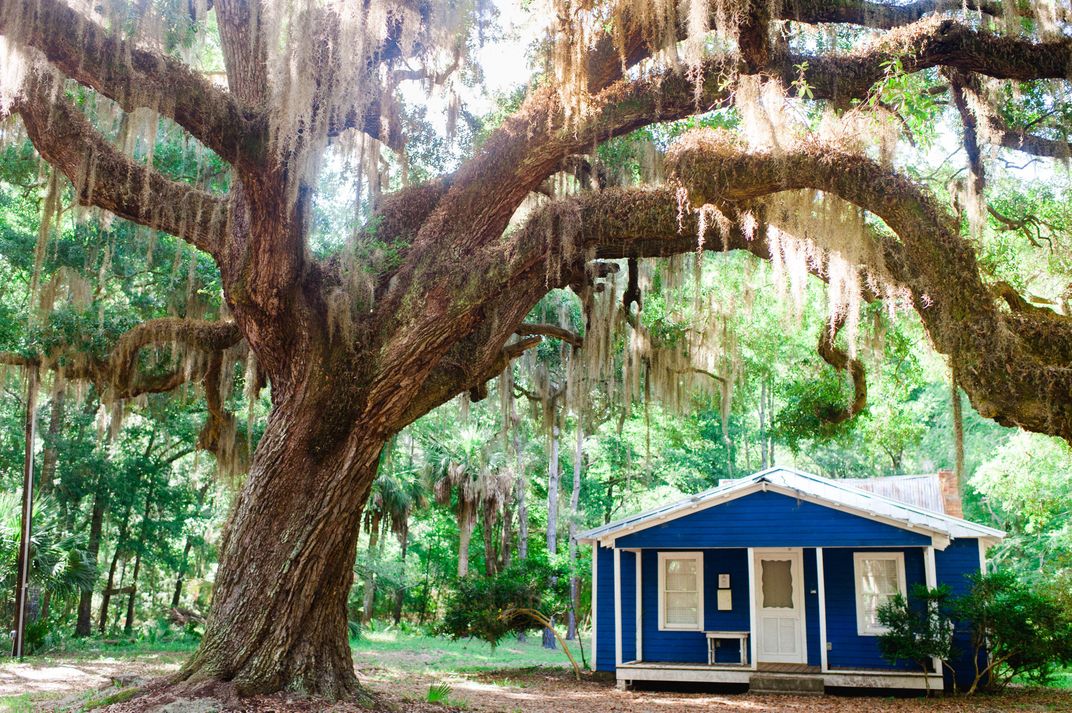 Eight Reasons Why You Should Travel to the Lowcountry This Fall