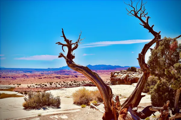 The Beauty of The American Southwest thumbnail