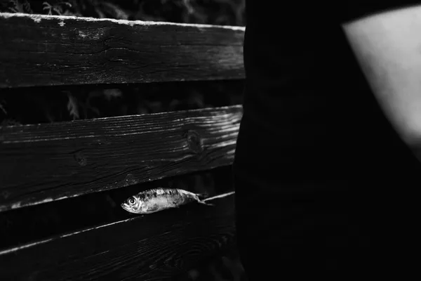 Behind Your Back thumbnail