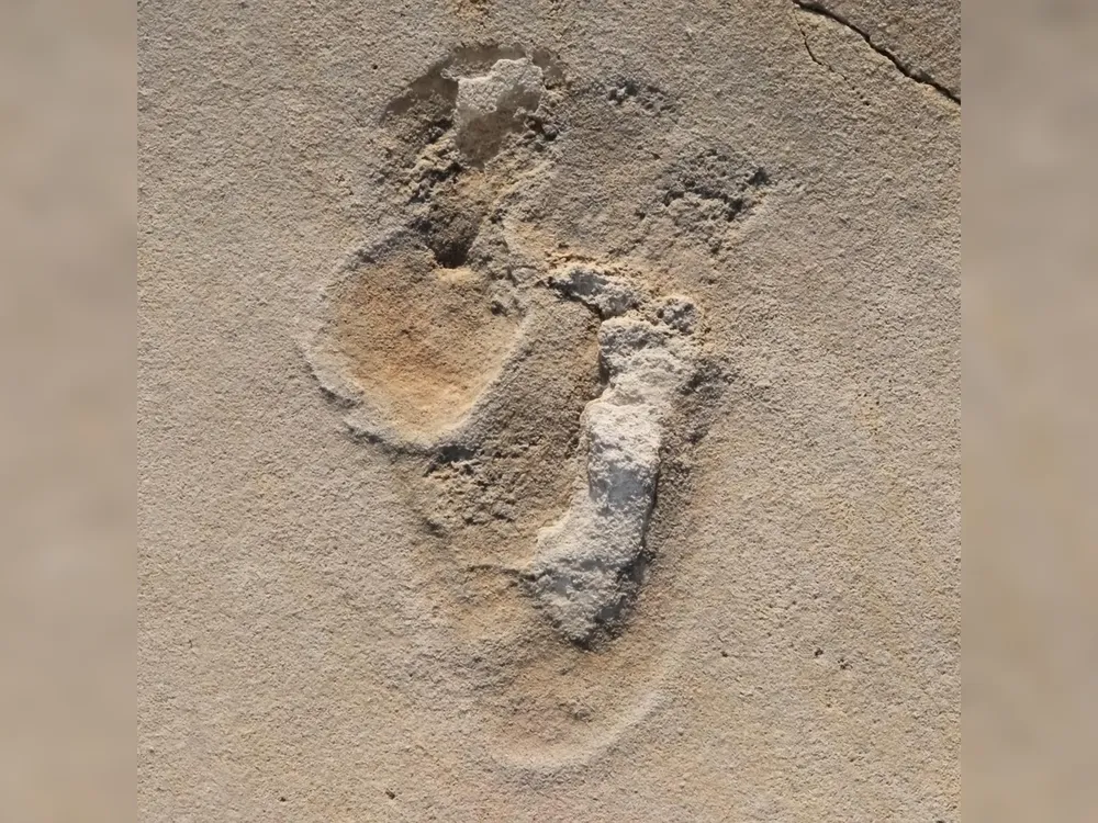 Oldest Footক্রিট দ্বীপে পাওয়া হোমিনিন প্রজাতির পদচিহ্নprints