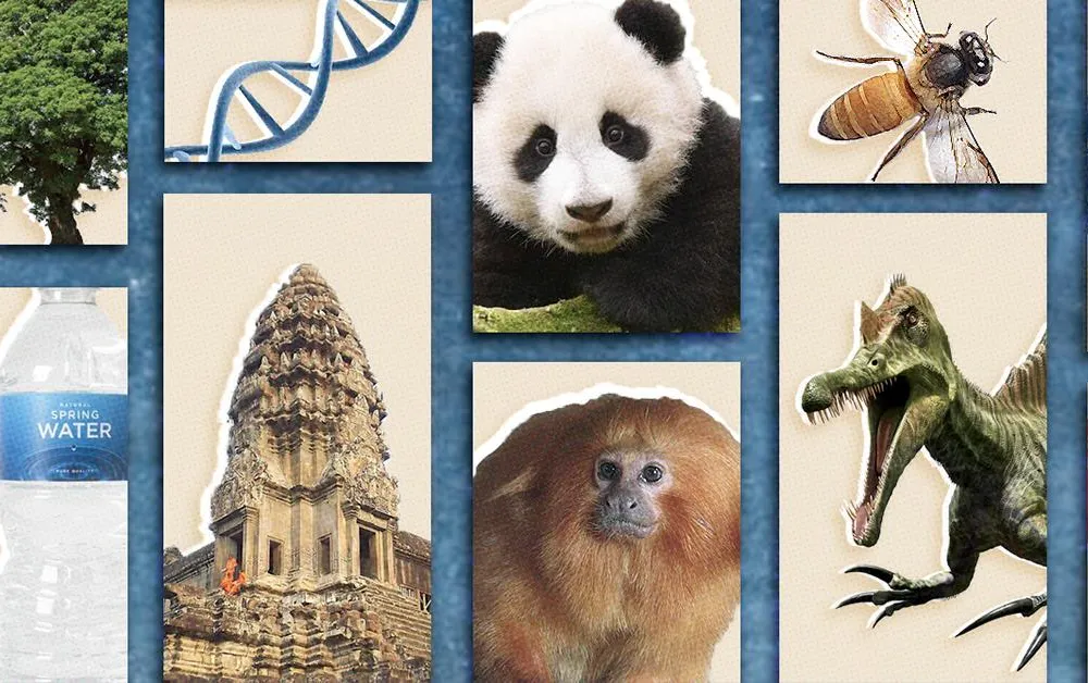 50 Things collage (social)