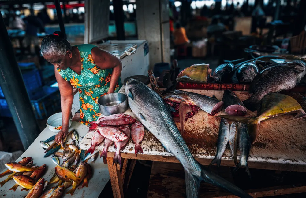 The most attractive and unique thing about Negombo Fish Market is that you can get close to the lives of local fishermen here, watch them catch fish, dry fish, feel their way of making a living that has not changed for hundreds of years, and appreciate the unique market style. The Seller is sorting the freshly caught fish.