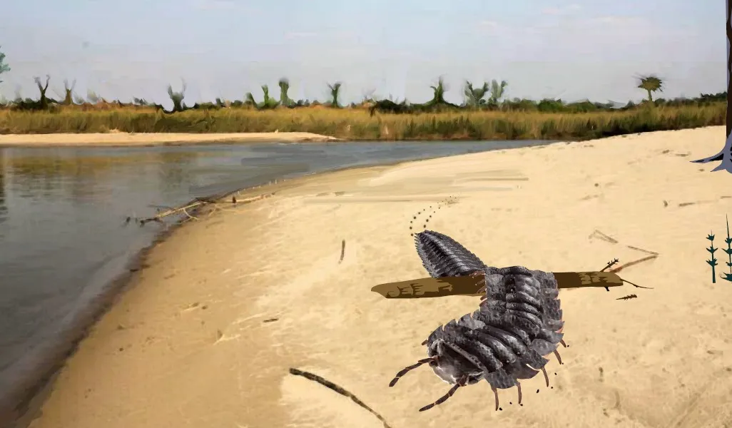An illustration fo the millipede crawling on a sandy bank. It has black, segmented body resembling armor. It scuttles across the sand, with a river and vegetation around it.
