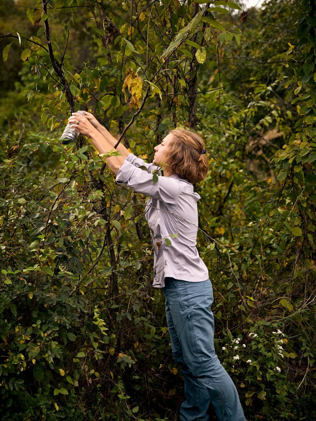 Researcher Lauren Briggs of Penn State Extension