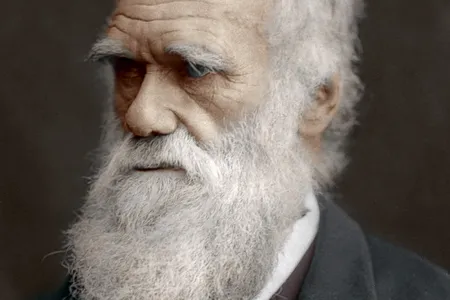 Charles Darwin: sailor, scientist, beard aficionado.