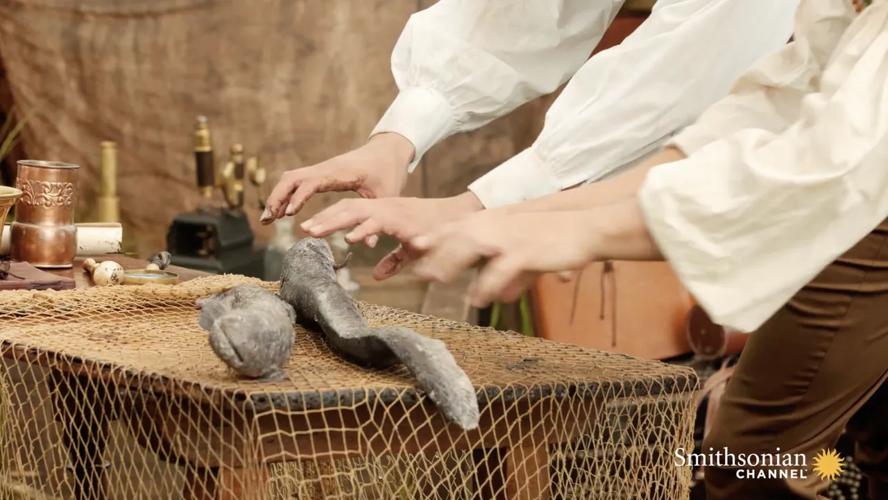 Preview thumbnail for This German Explorer Held Electric Eels in His Bare Hands