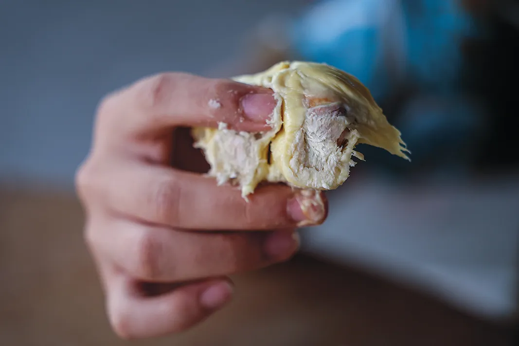 custard-like inner pulp held in a persons hand