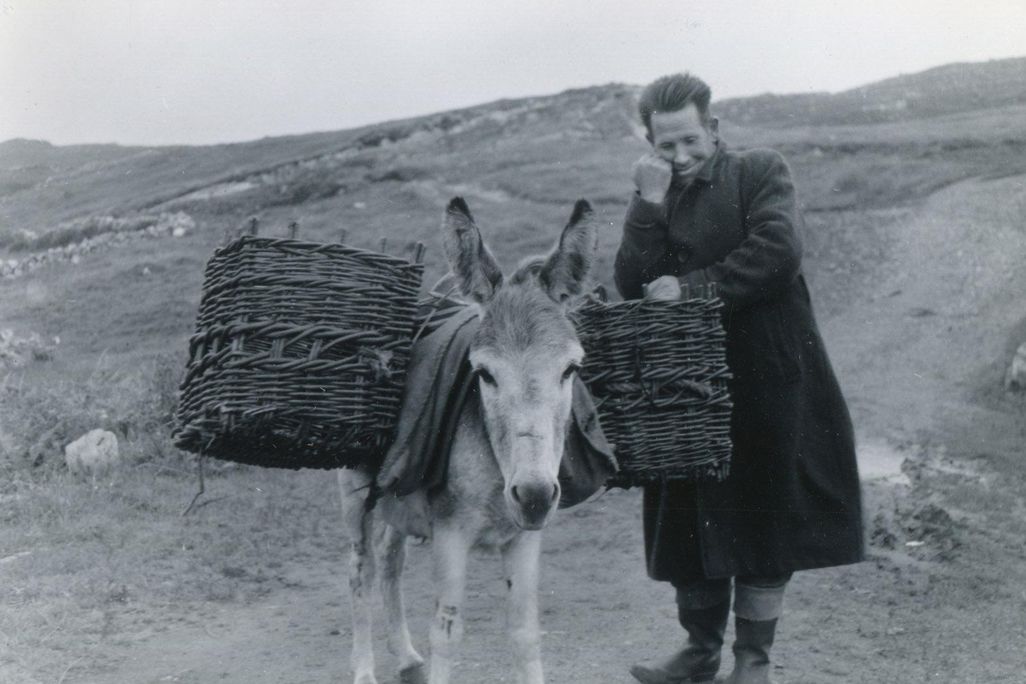 Man with a Donkey
