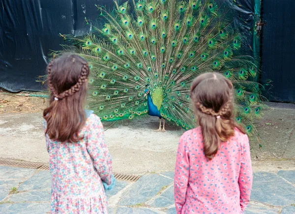 Dos tercios thumbnail