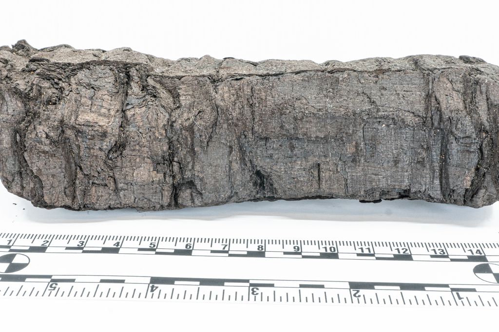 Charred scroll in front of measuring stick