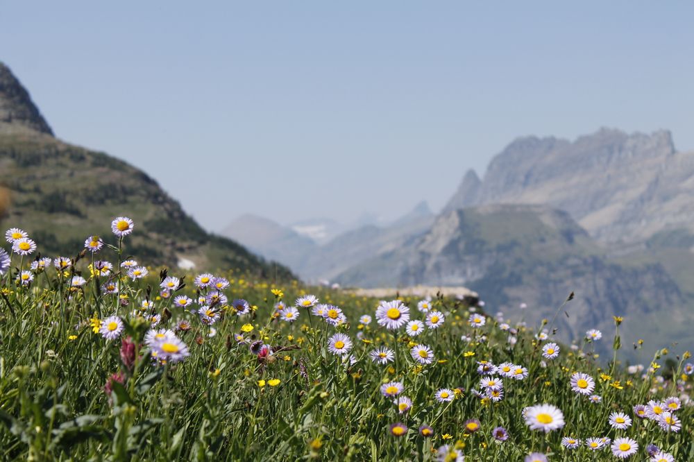 This is Glacier National Park, taken on a summer vacation spent with family.