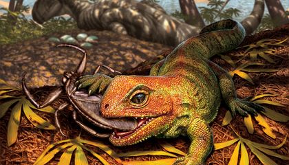 Scientists Discover Bug-Eating Reptile That Lived Among Dinosaurs
