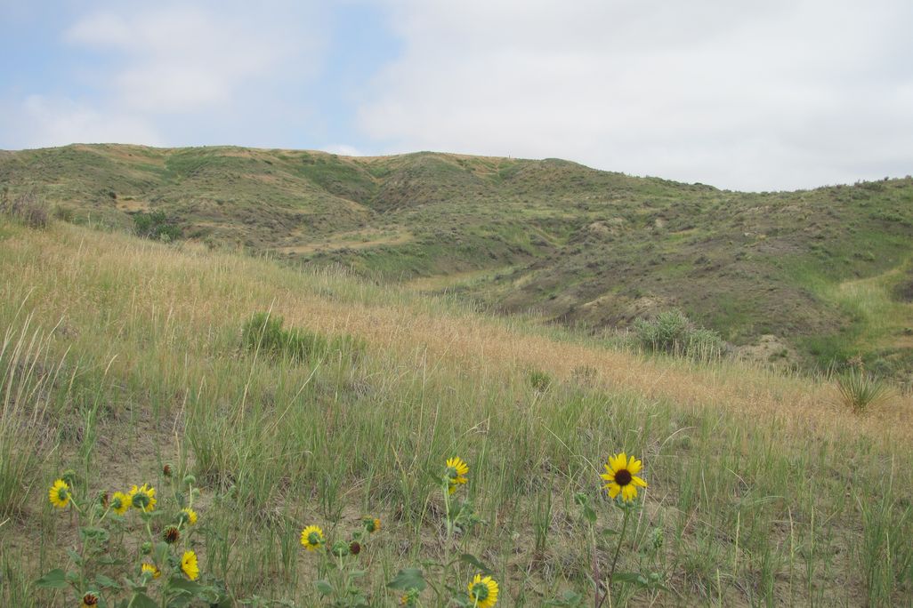 West Bijou Site