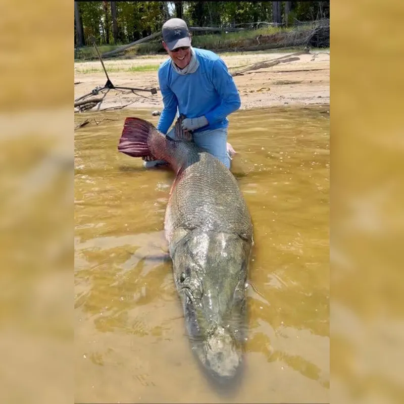 Angler Catches 283-Pound Alligator Gar in Texas, Potentially