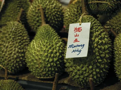 durian fuit