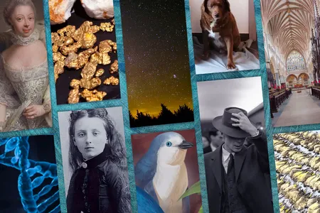 Our ten most-read stories of the year featured the author of&nbsp;Anne of Green Gables, tiny penguins, Queen Charlotte and more.