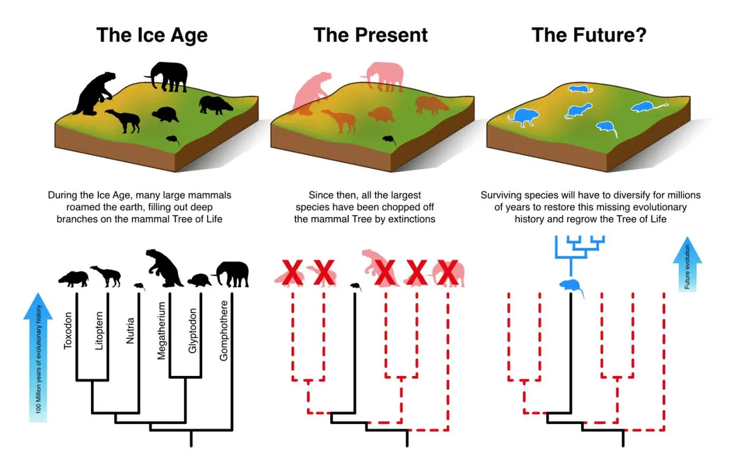 Earth Lost 2.5 Billion Years’ Worth of Evolutionary History in Just 130,000 Years