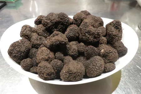 A bowl brimming with Burgundy truffles ready for analysis.