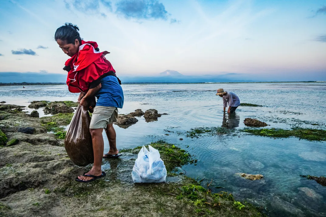 A woman and her son harvest sea urchins from seagrass beds. 